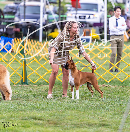 20230908-DSC05374
