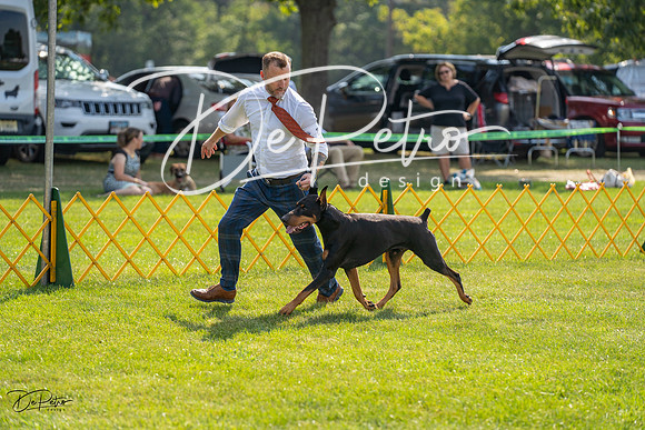 20230908-DSC05036
