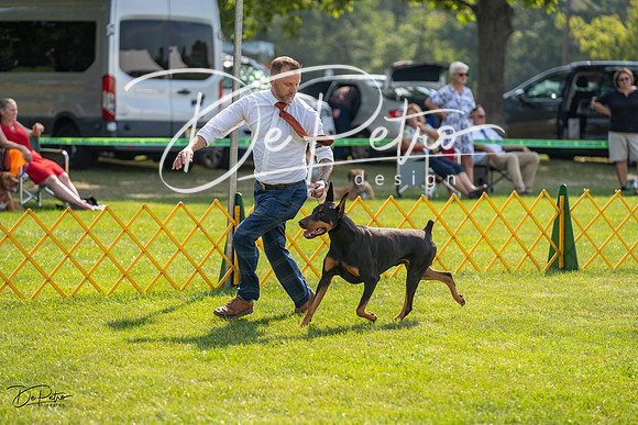 20230908-DSC05039