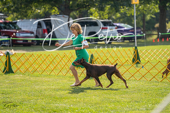 20230908-DSC05067