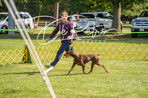 20230908-DSC05063
