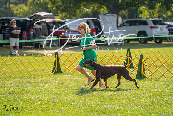 20230908-DSC05070