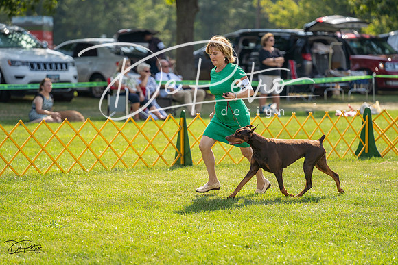 20230908-DSC05077