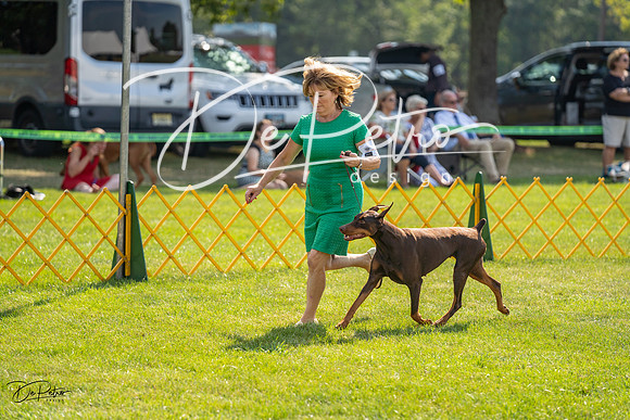 20230908-DSC05082