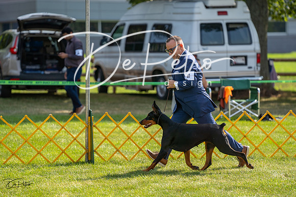 20230908-DSC05090