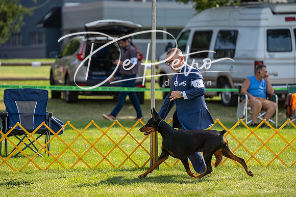 20230908-DSC05092