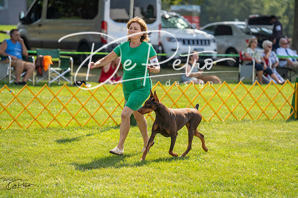 20230908-DSC05087
