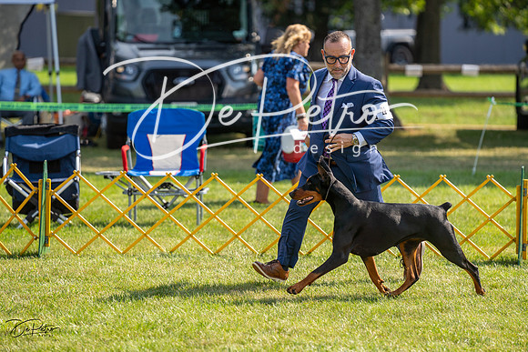 20230908-DSC05103