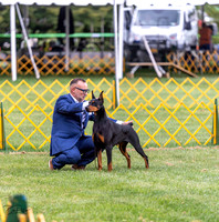 20230908-DSC05356