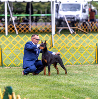 20230908-DSC05357