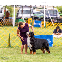 20230908-DSC05359