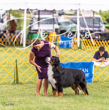 20230908-DSC05359