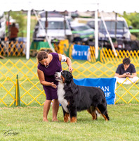 20230908-DSC05360