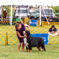 20230908-DSC05361