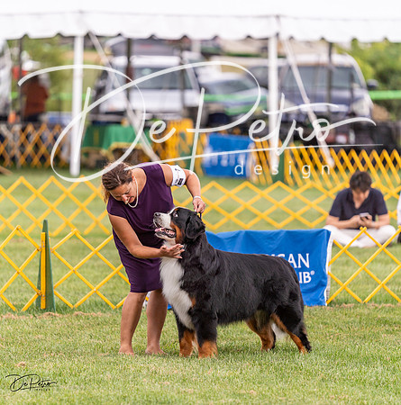 20230908-DSC05361