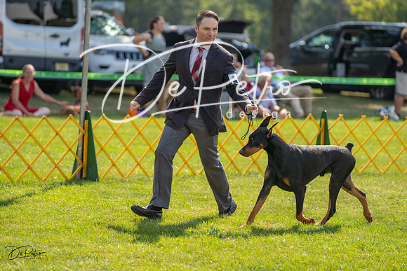 20230908-DSC05132