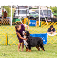 20230908-DSC05362