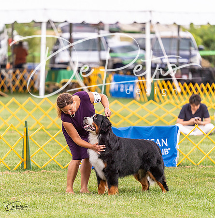 20230908-DSC05362