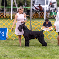 20230908-DSC05363