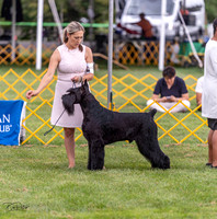 20230908-DSC05364