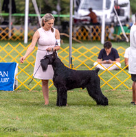 20230908-DSC05365