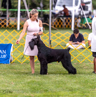 20230908-DSC05366