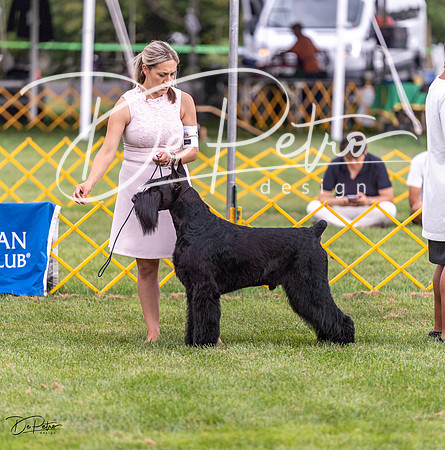20230908-DSC05366