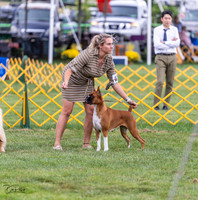 20230908-DSC05371