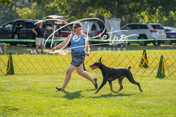 20230908-DSC05149