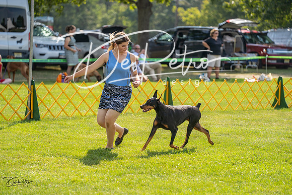 20230908-DSC05157
