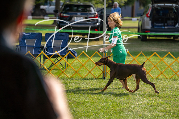 20230908-DSC04954