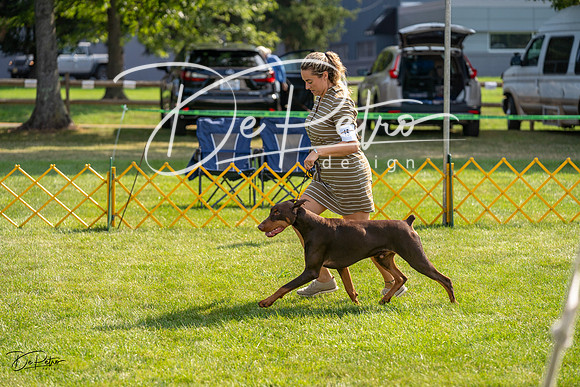 20230908-DSC04978