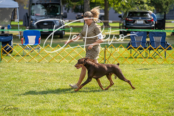 20230908-DSC04983