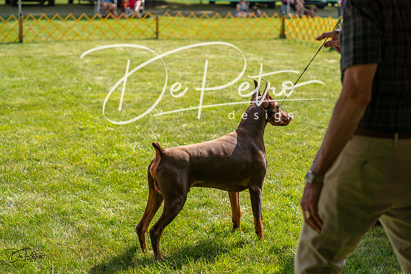 20230908-DSC04989
