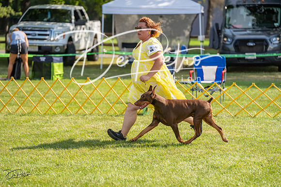 20230908-DSC05004
