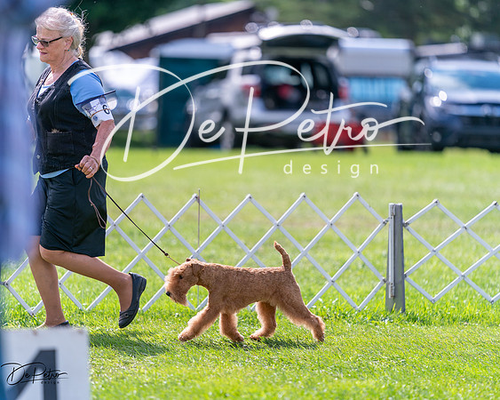 20240630-DSC03787