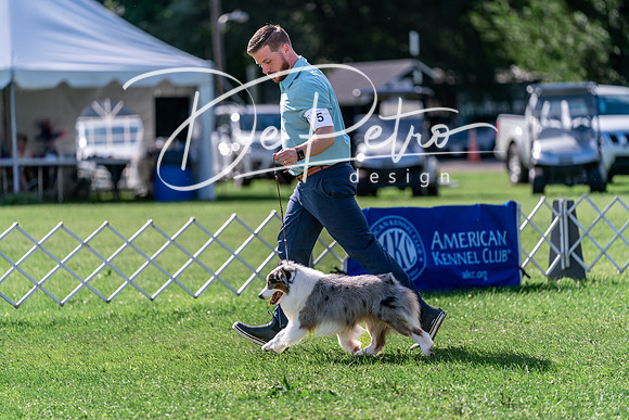 20240630-DSC04894