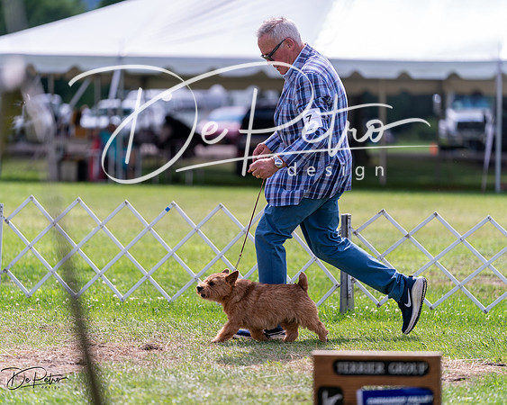 20240630-DSC03677