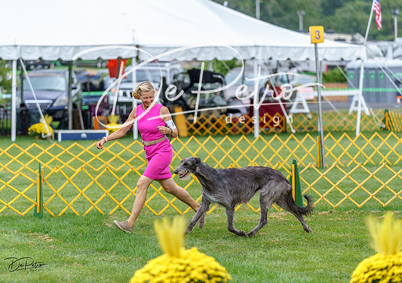 20230908-DSC05676