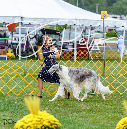 20230908-DSC05689