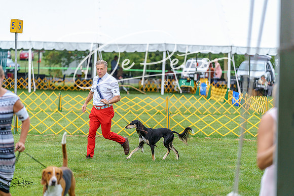 20230908-DSC05707