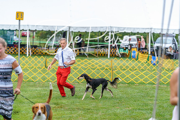 20230908-DSC05708