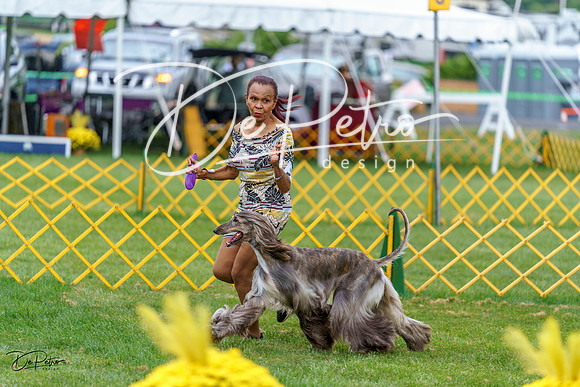 20230908-DSC05743