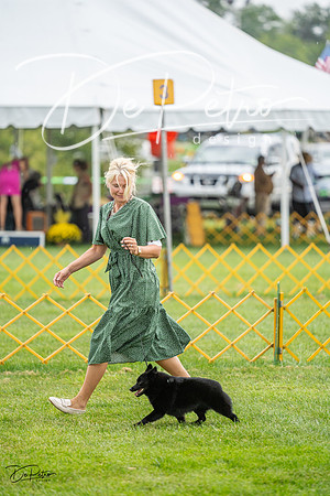 20230908-DSC06173