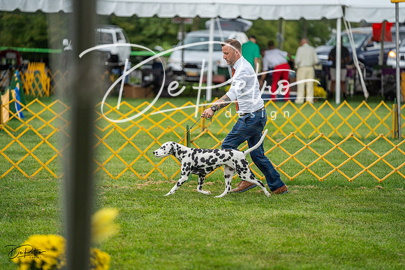 20230908-DSC06090