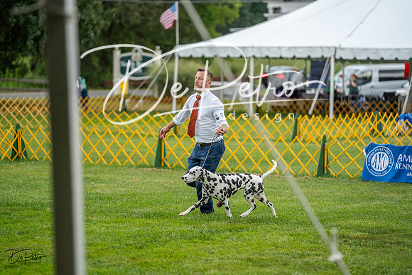 20230908-DSC06098