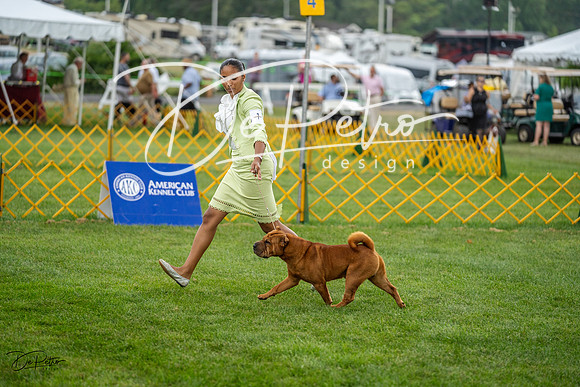 20230908-DSC06121