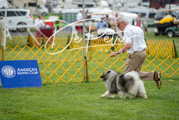 20230908-DSC06129
