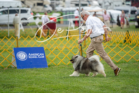 20230908-DSC06131