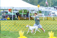 20230908-DSC06196